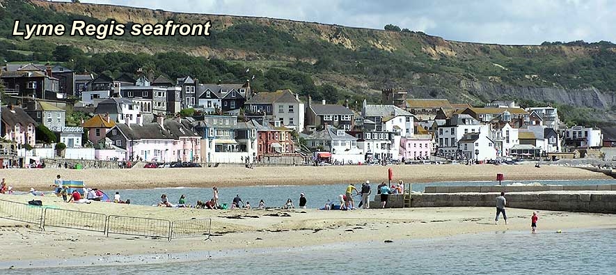 lyme regis accommodation - charnwood guest house